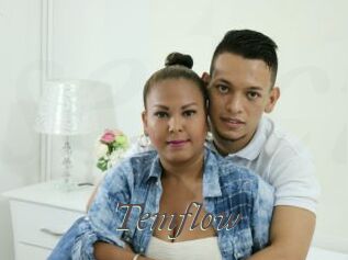 Temflow