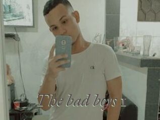 The_bad_boys_1