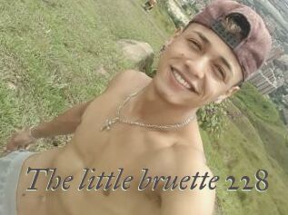 The_little_bruette_228