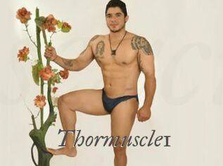 thormuscle1 Sexcams city