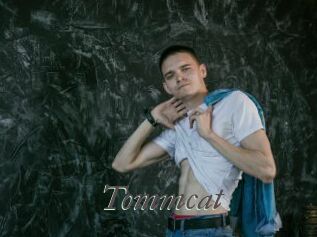 Tommcat