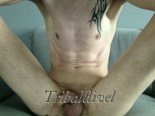 tribaldivel Sexcams city