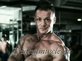 Tridentmuscles4u