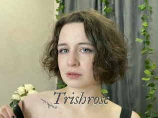 Trishrose