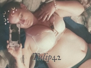 Tulip42