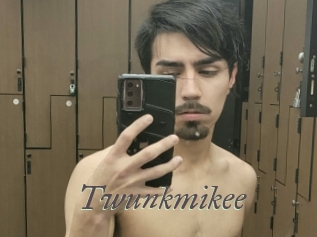 Twunkmikee