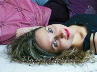 uparadisebird Sexcams city