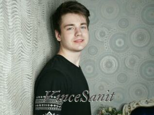 VinceSanit