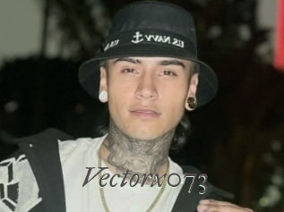 Vectorx073