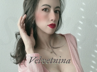 velvetnina Sexcams city