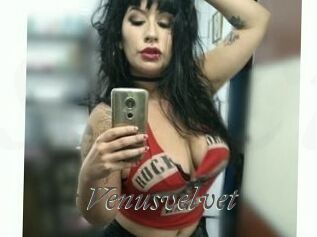 Venusvelvet