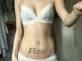 Vezels11