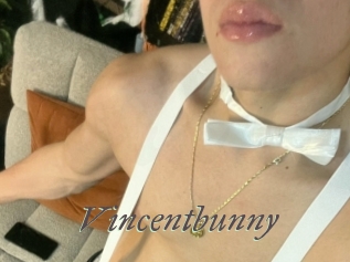 Vincentbunny