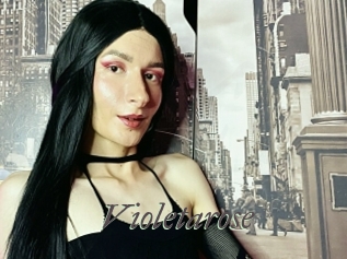 Violetarose
