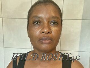 WILD_ROSEY40