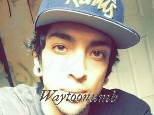 Waytoonumb