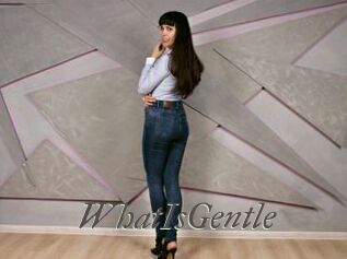 WhatIsGentle