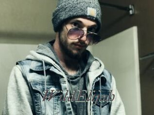 WildElijah