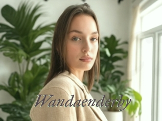 Wandaenderby