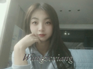 Wangzcxiang