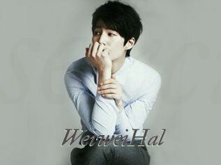 WeiweiHal
