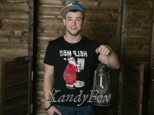 XandyFox