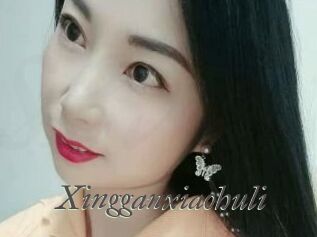 Xingganxiaohuli