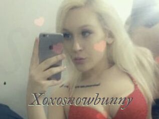 Xoxosnowbunny