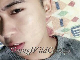 YoungWildCock4u Sexcams city