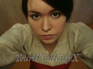 YourWildKittyX Sexcams city