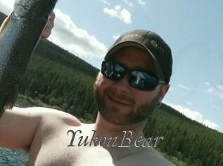 YukonBear