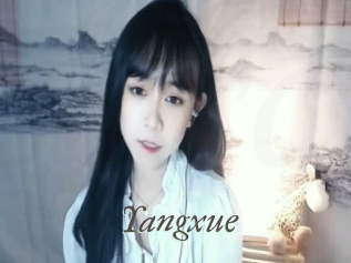 yangxue Sexcams city