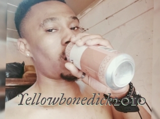 Yellowbonedick2010