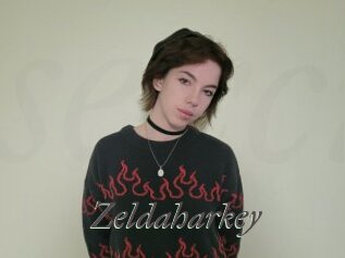 zeldaharkey Sexcams city