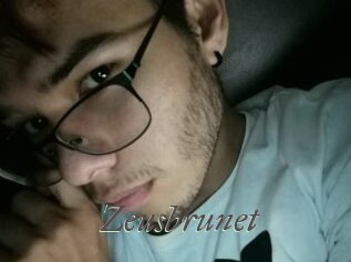 Zeusbrunet